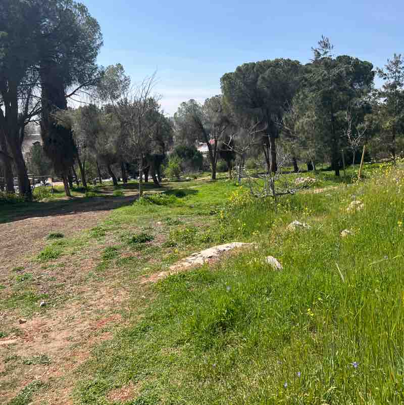 joe  🇮🇱 post 1