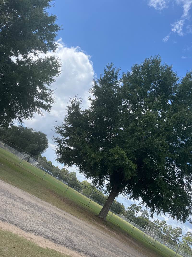 walking near me in Tom Brown Park in autumn