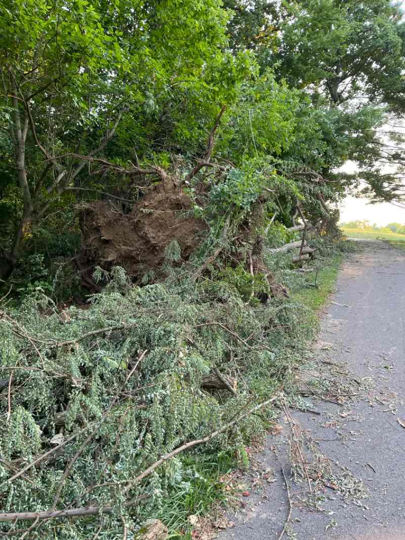 walking near me in Chesapeake Bay Foundation Conservation Easement in winter