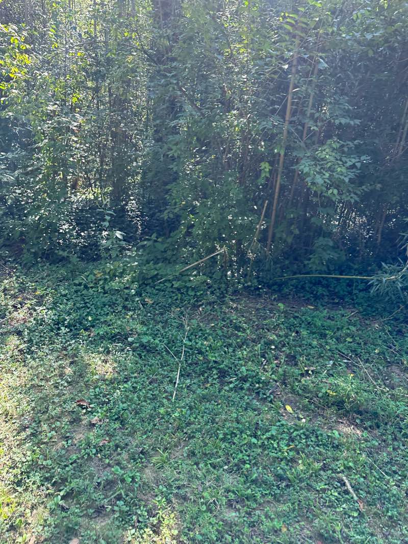 walking near me in Third Creek Greenway Park in winter