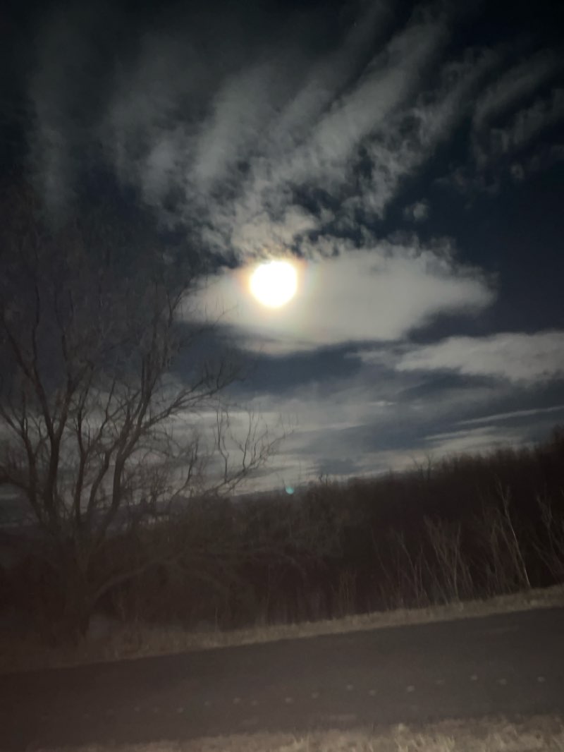 walking near me in Garden Home Park in spring