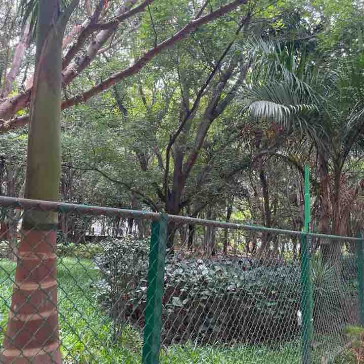neeraj.dubey post 3