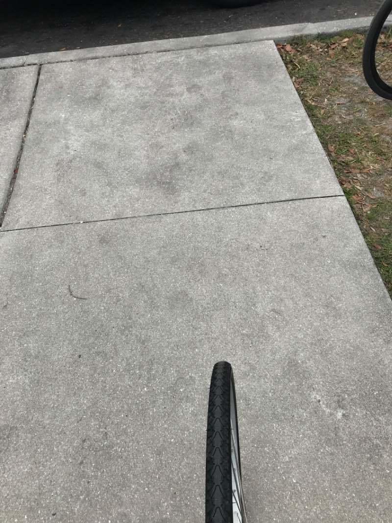 walking near me in Ponce de Leon Park in winter