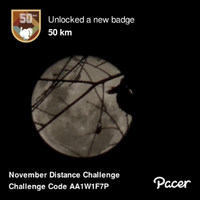 December Distance Challenge Jeff Cincy Ohio post image