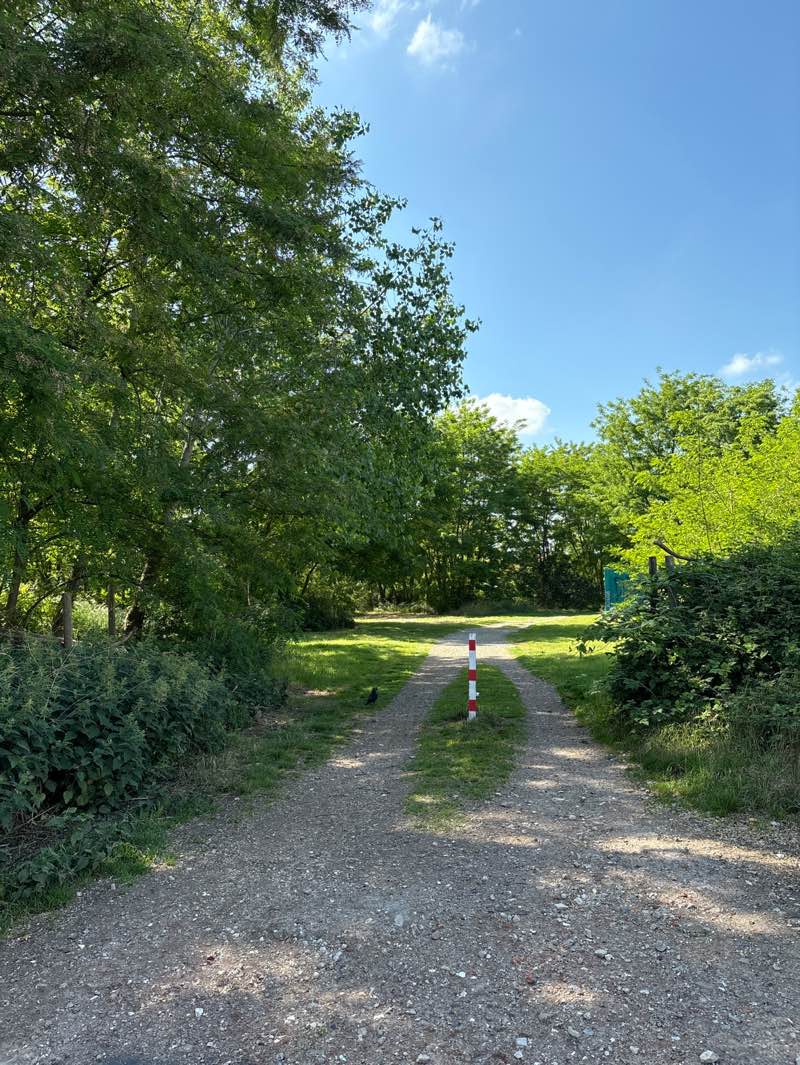 walking near me in Driemasterpark in spring