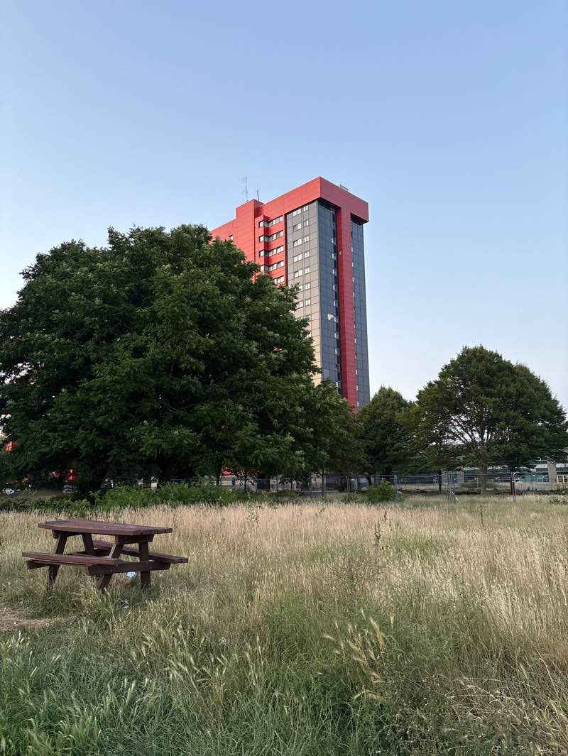 walking near me in Buurtpark Nieuw Gent/UZ in summer