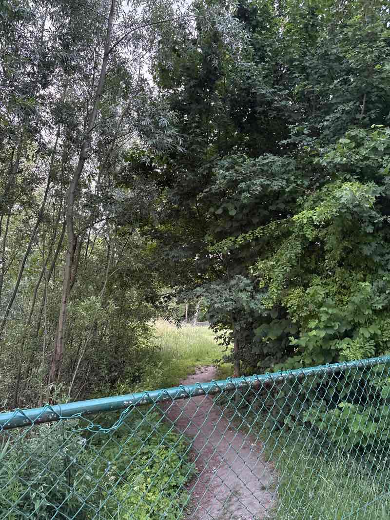 walking near me in Vosmeerspark in summer