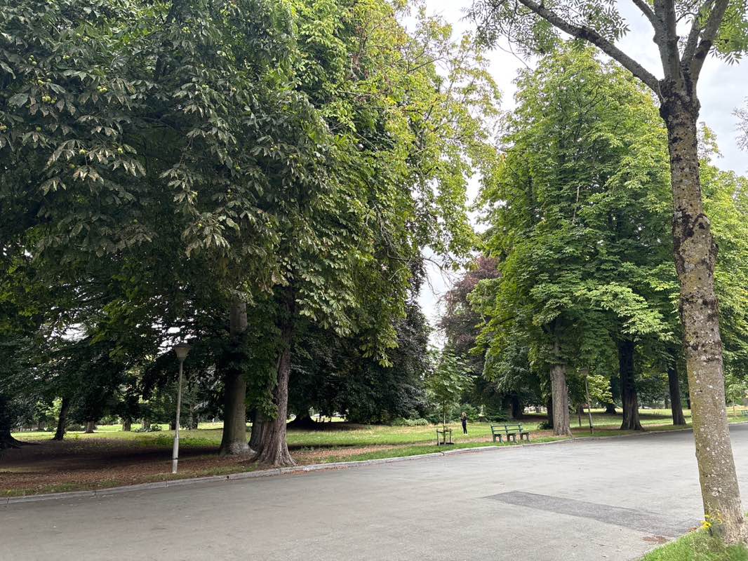 walking near me in Paul de Smet de Naeyerpark in autumn