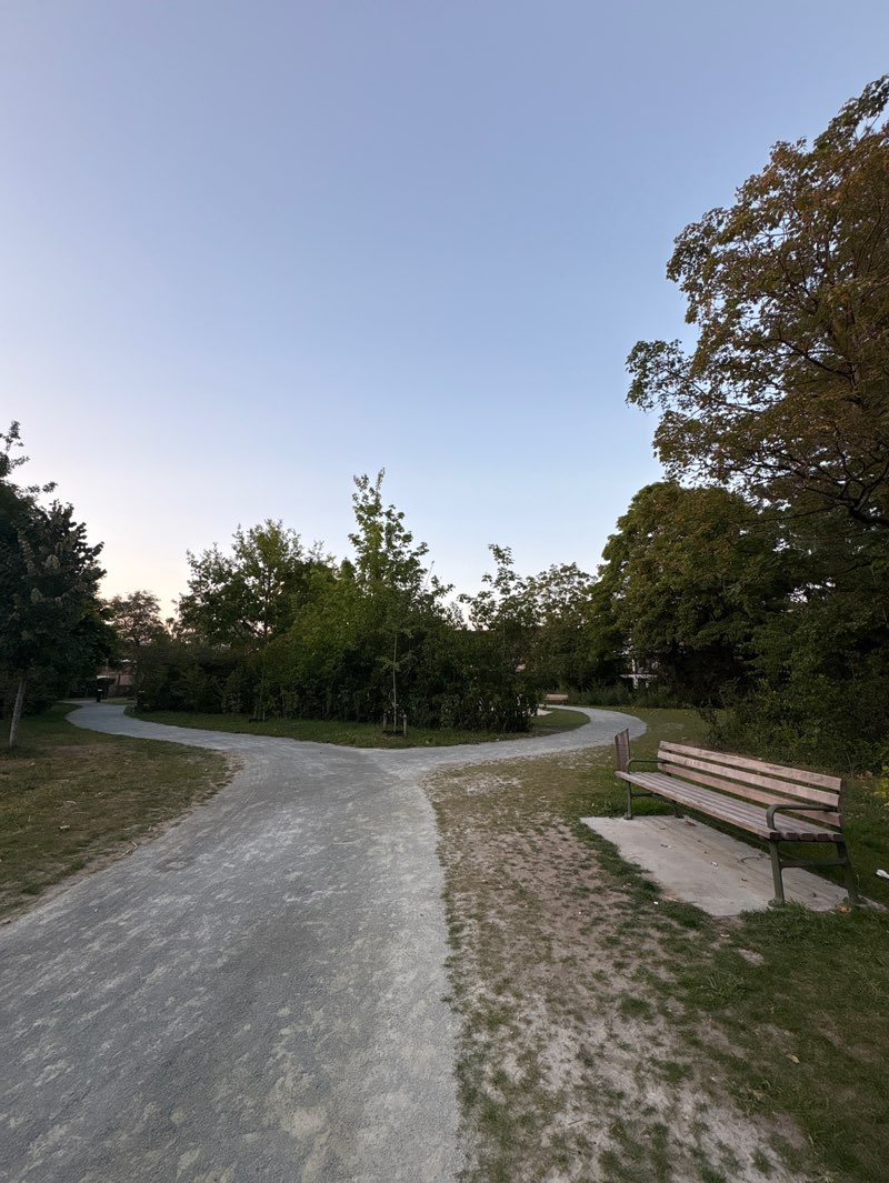 walking near me in Buurtpark Duifhuisstraat in autumn
