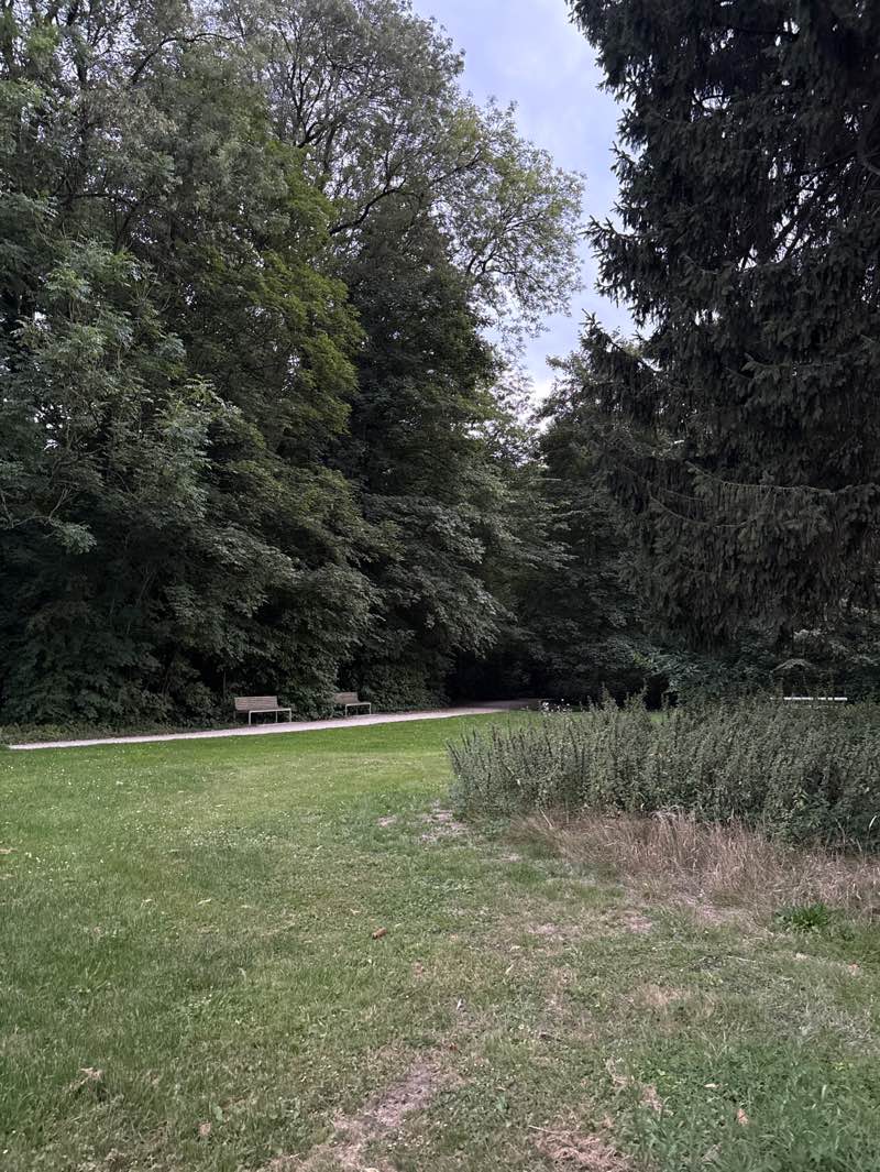 walking near me in Maaltebruggepark in autumn