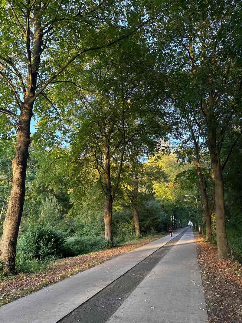 walking near me in Park De Vijvers in autumn