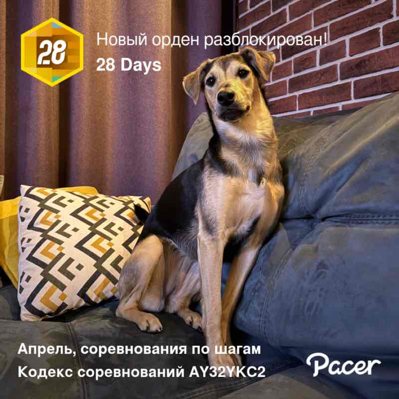 Olga 💃🫶🏃🏼‍♀️ post 1