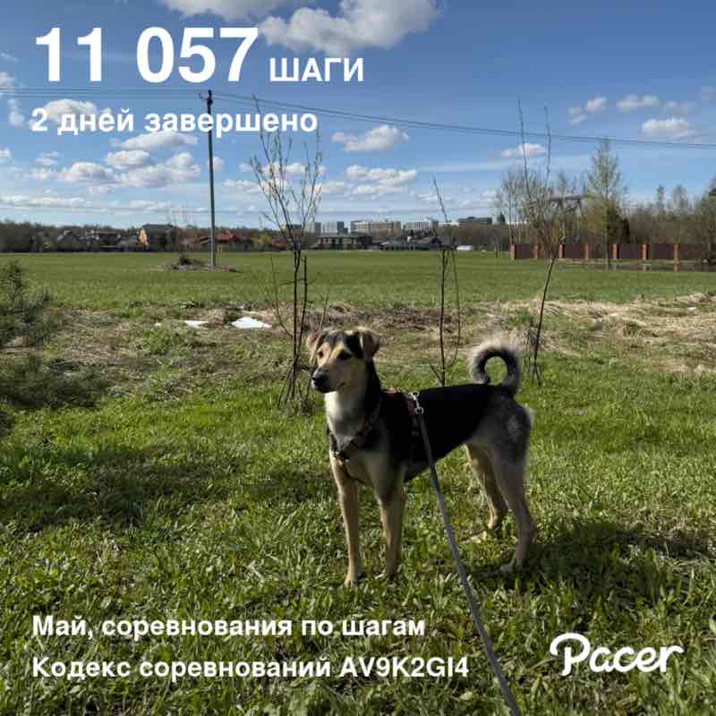 Olga 💃🫶🏃🏼‍♀️ post 1