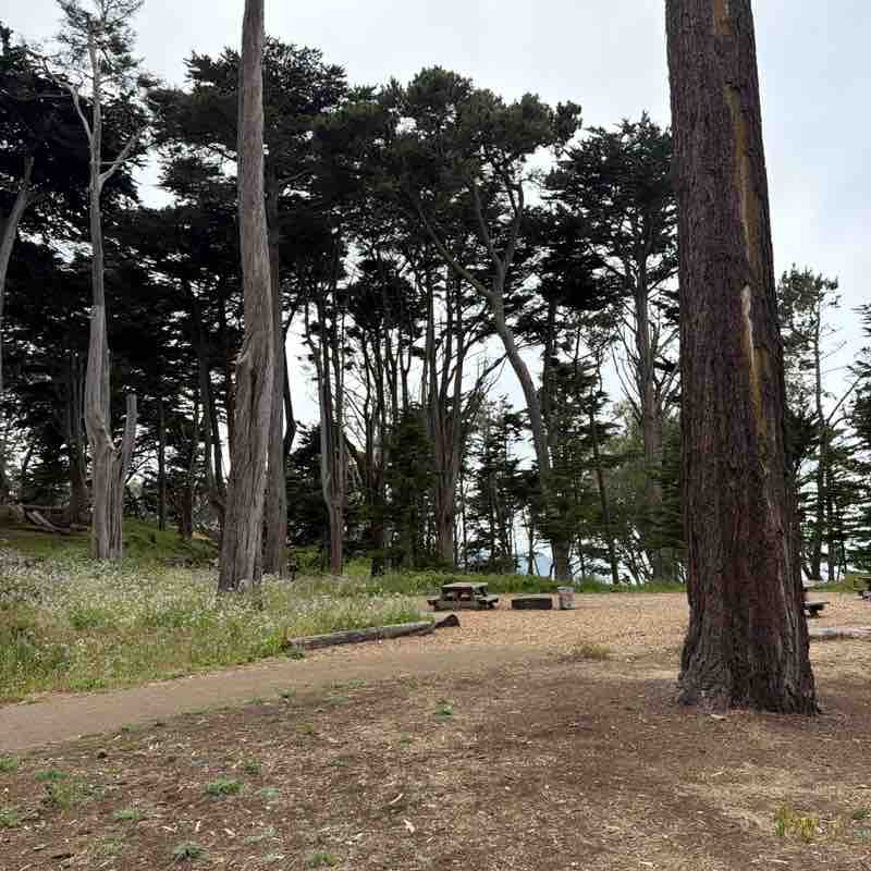 Shuffling Toward the Grave post 1