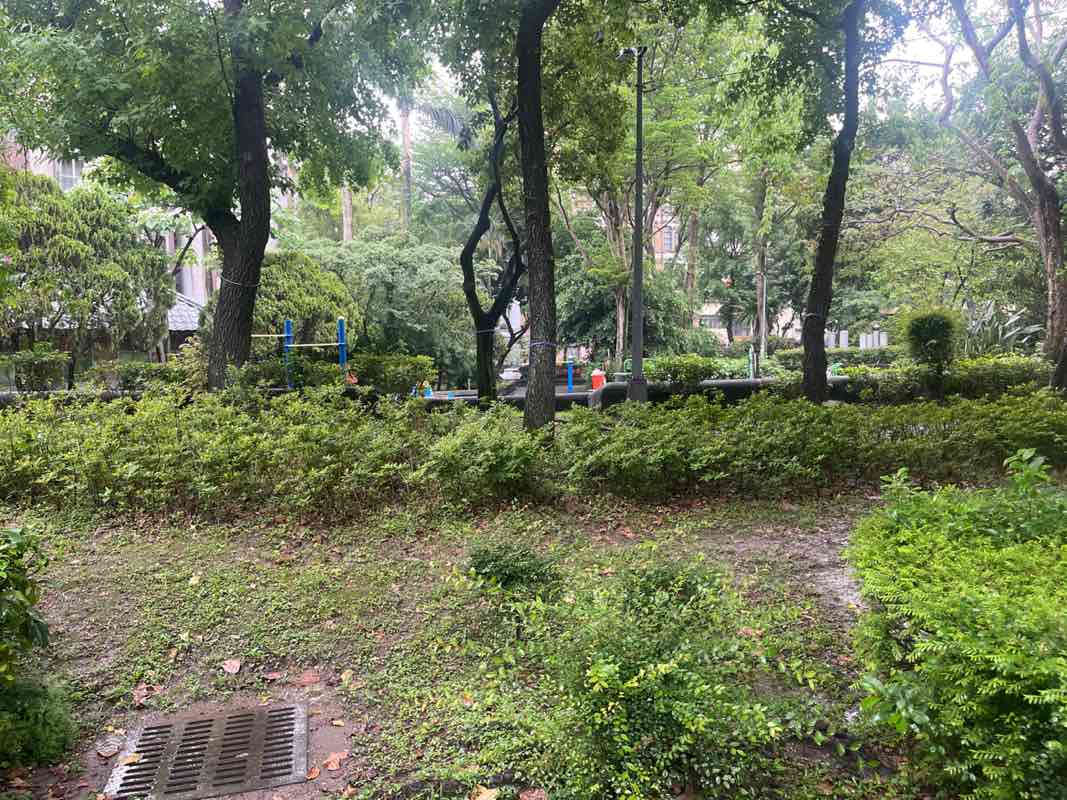 walking near me in Jinhua Park in spring