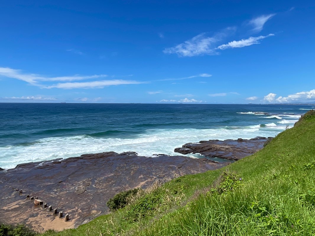walking near me in Mike Dwyer Reserve in summer
