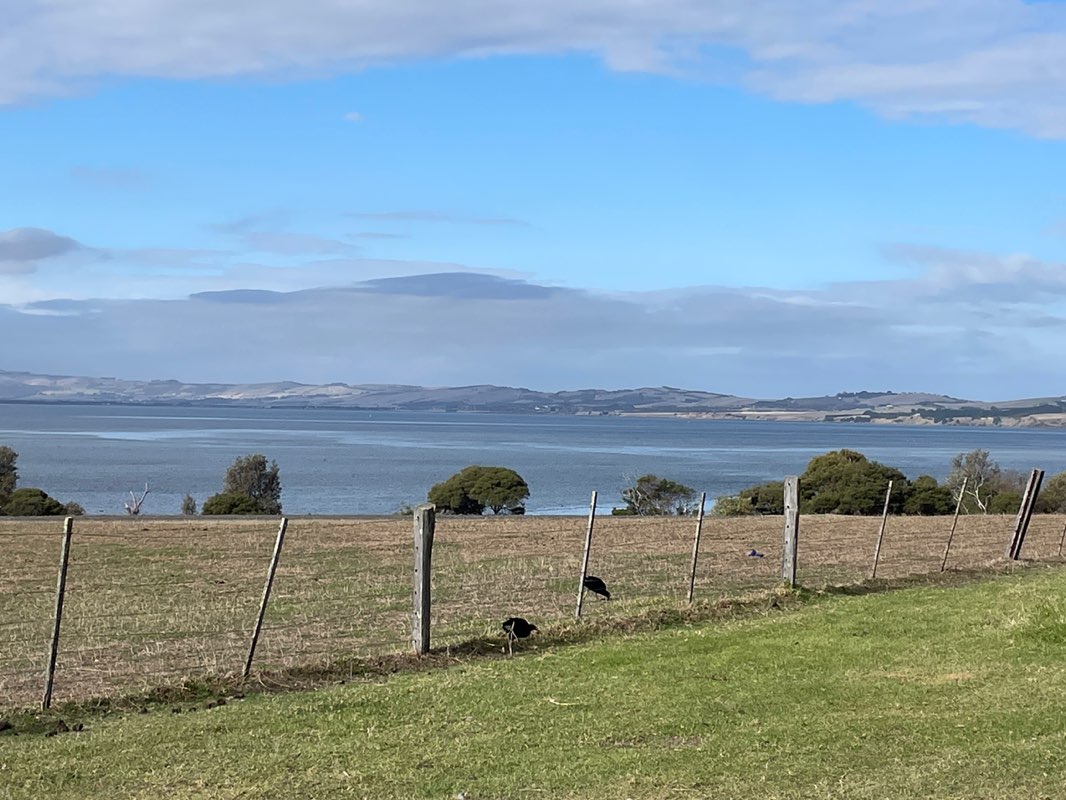 walking near me in Churchill Island Heritage Farm in autumn