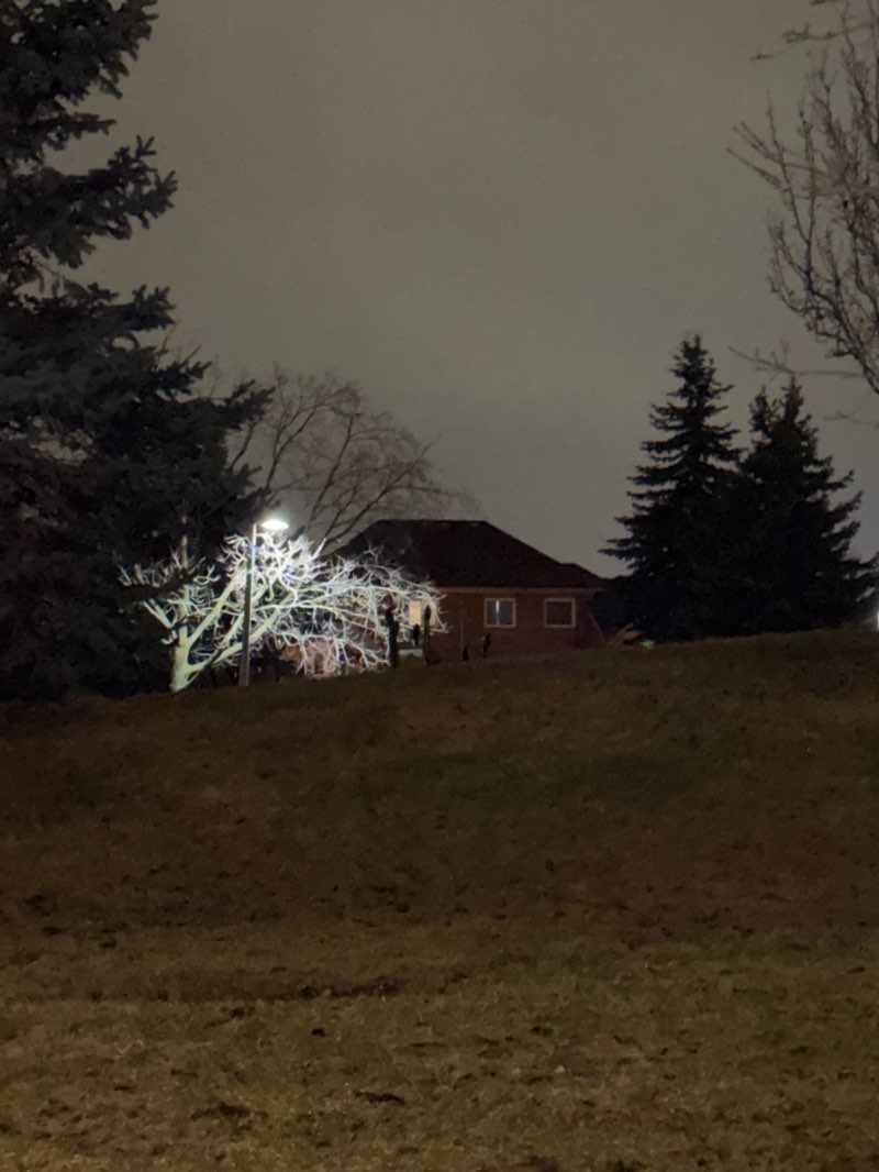 walking near me in Taylor Park in spring