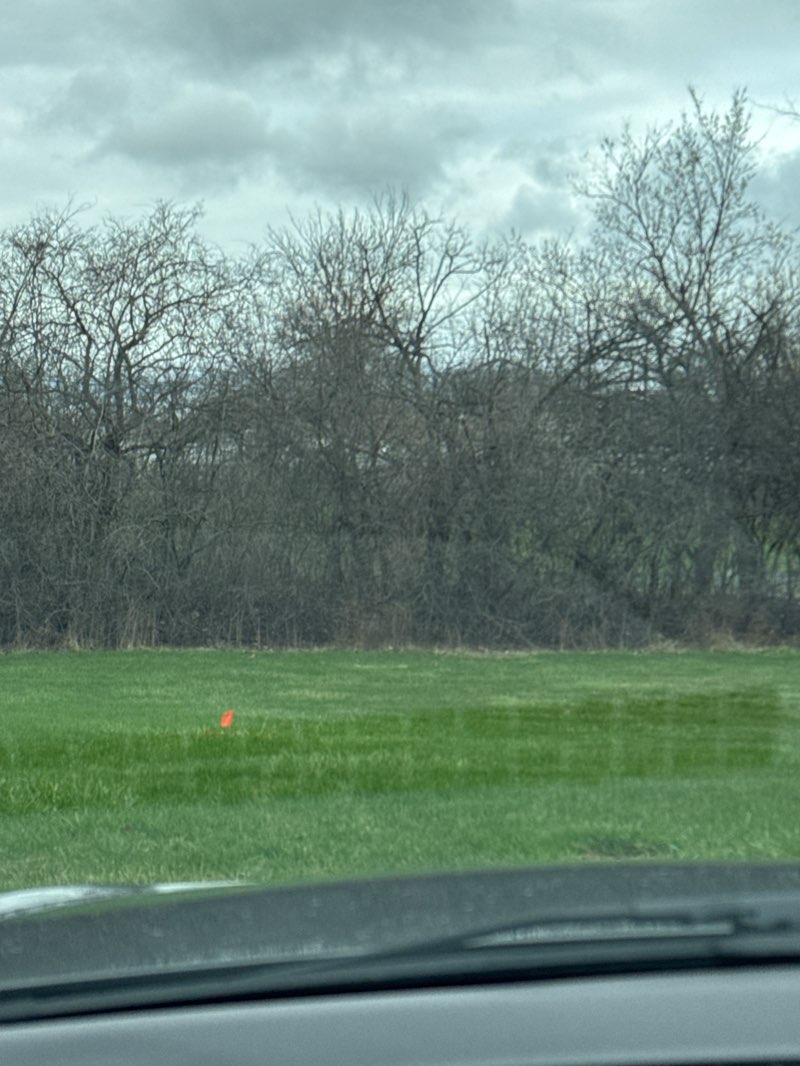 walking near me in McLouth Park in spring