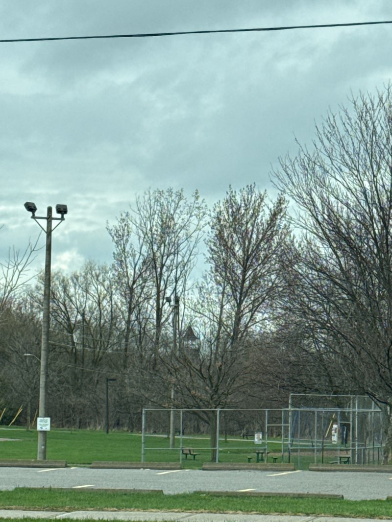 walking near me in Machell Park in spring