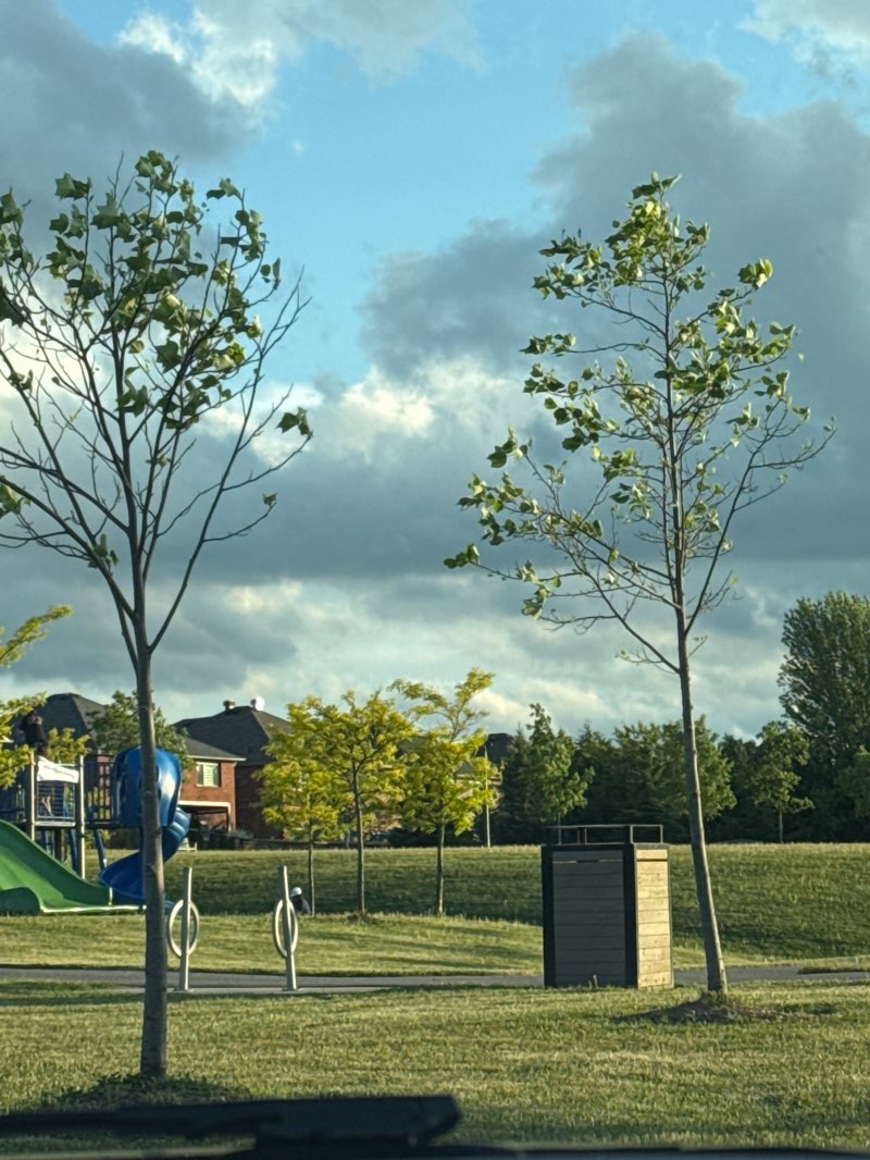 walking near me in Thomas Coates Park in summer