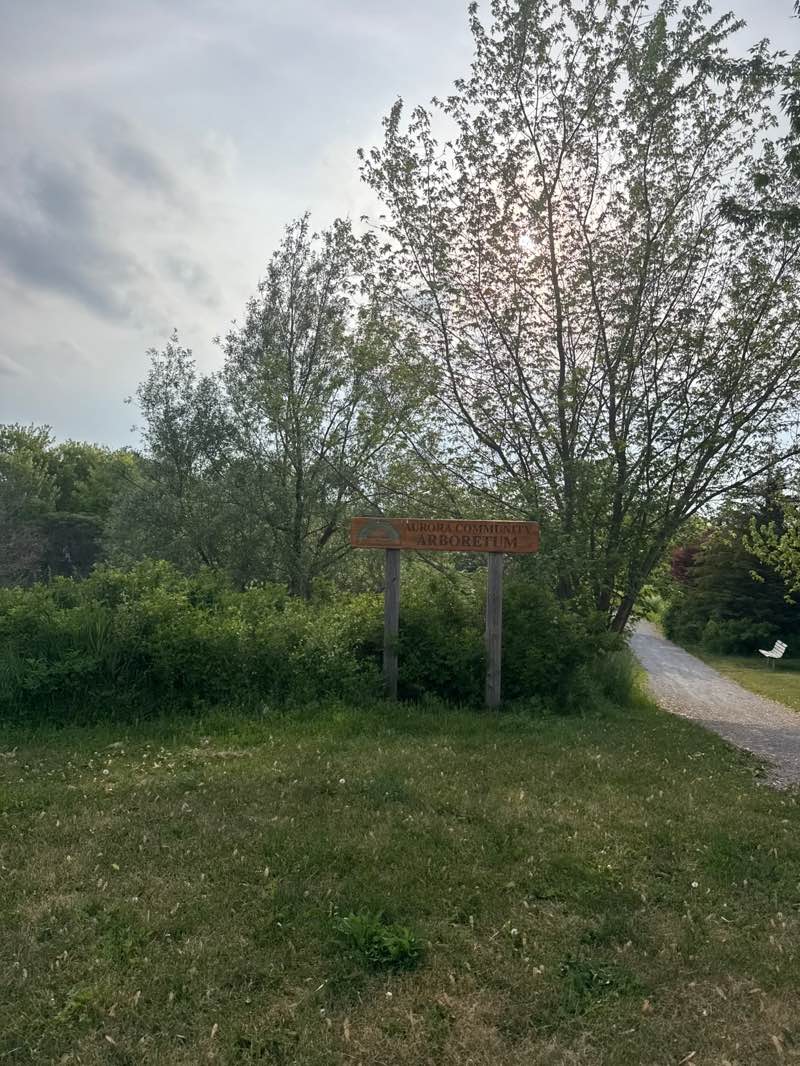 walking near me in Aurora Community Arboretum in summer