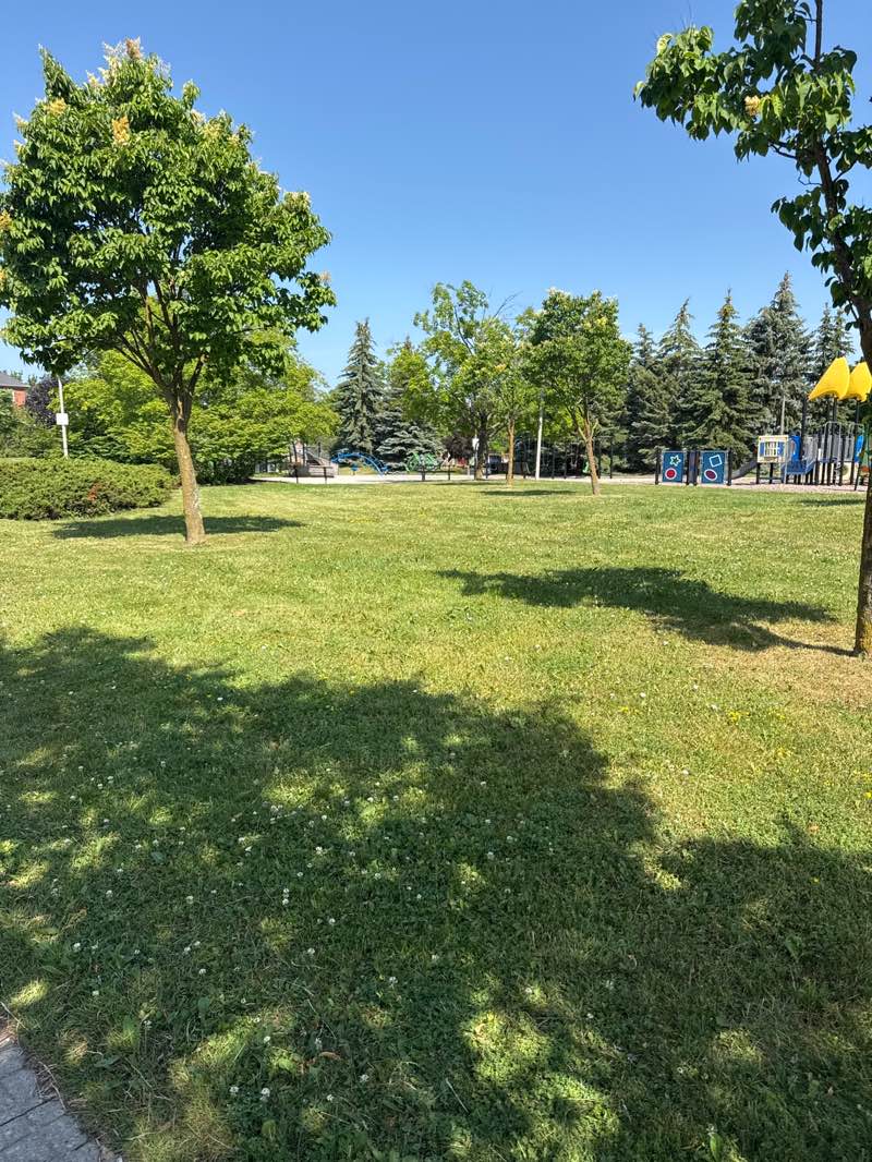 walking near me in Taylor Park in summer