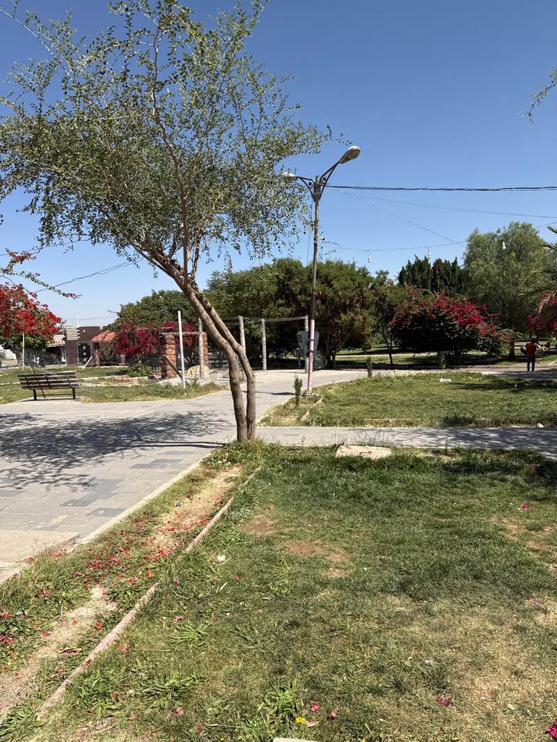 walking near me in Al-Sabeen Park in autumn