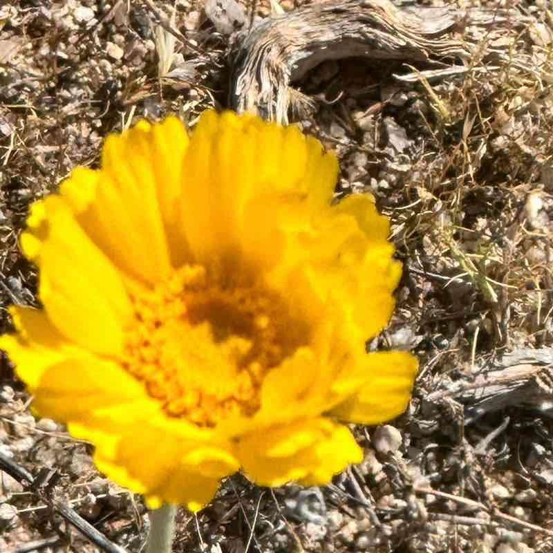 Doing it for health Frannie post image