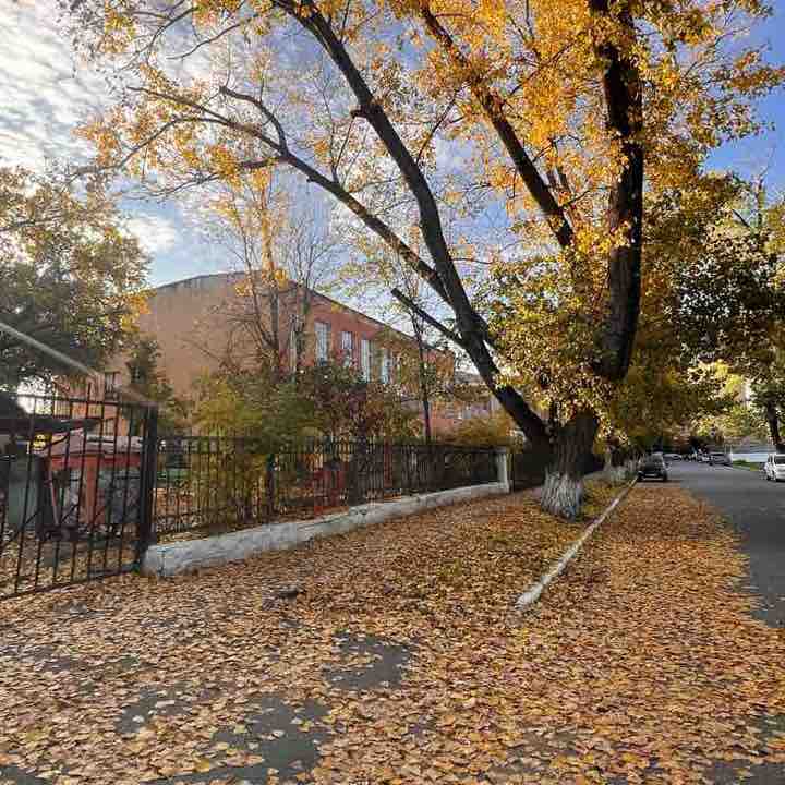 ⚜️ Анжелика ⚜️ post 2