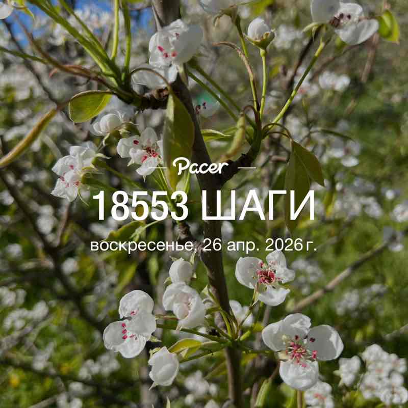 ⚜️ Анжелика ⚜️ post 1