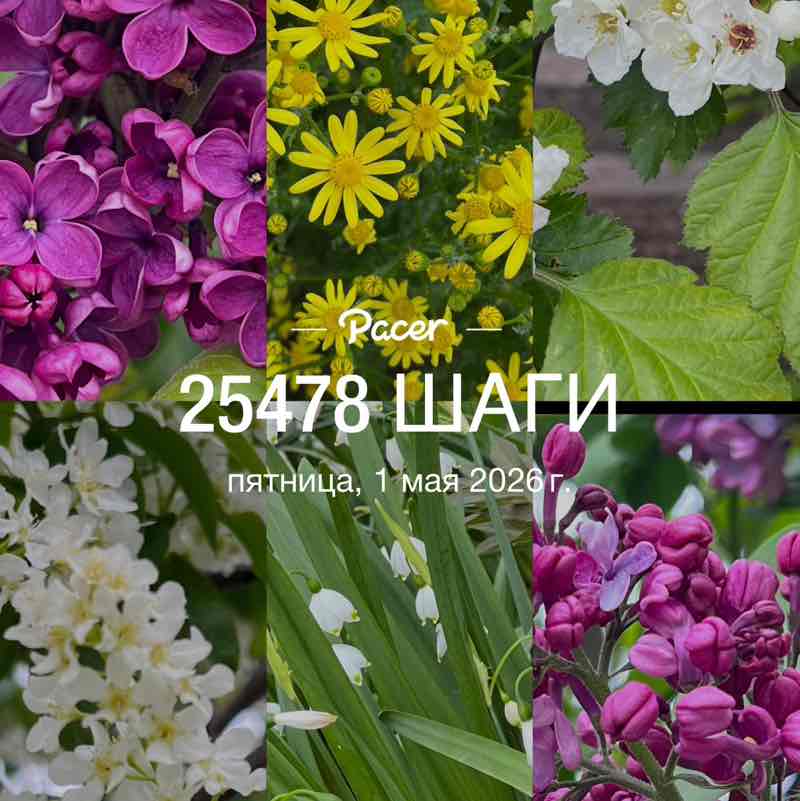 ⚜️ Анжелика ⚜️ post 1