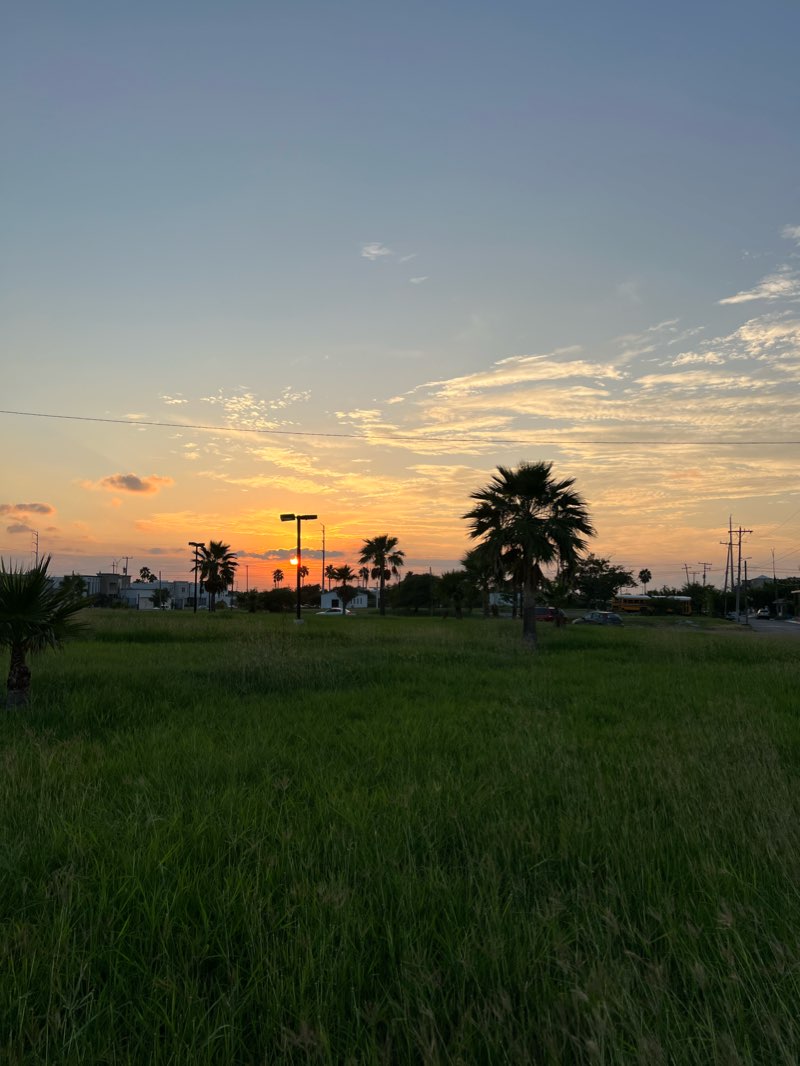 walking near me in Rotonda del Maestro in winter