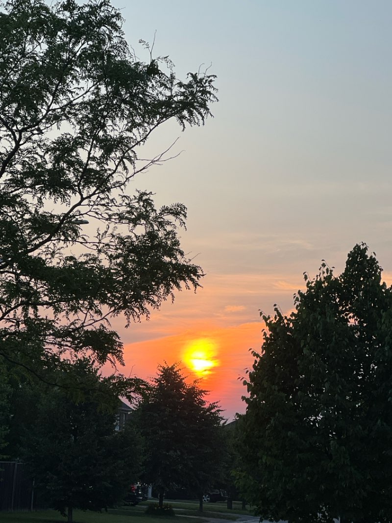 walking near me in Memorial Park in winter
