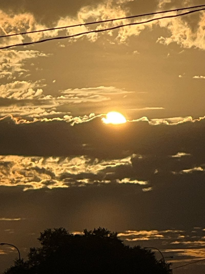 walking near me in Rockmosa Park in winter