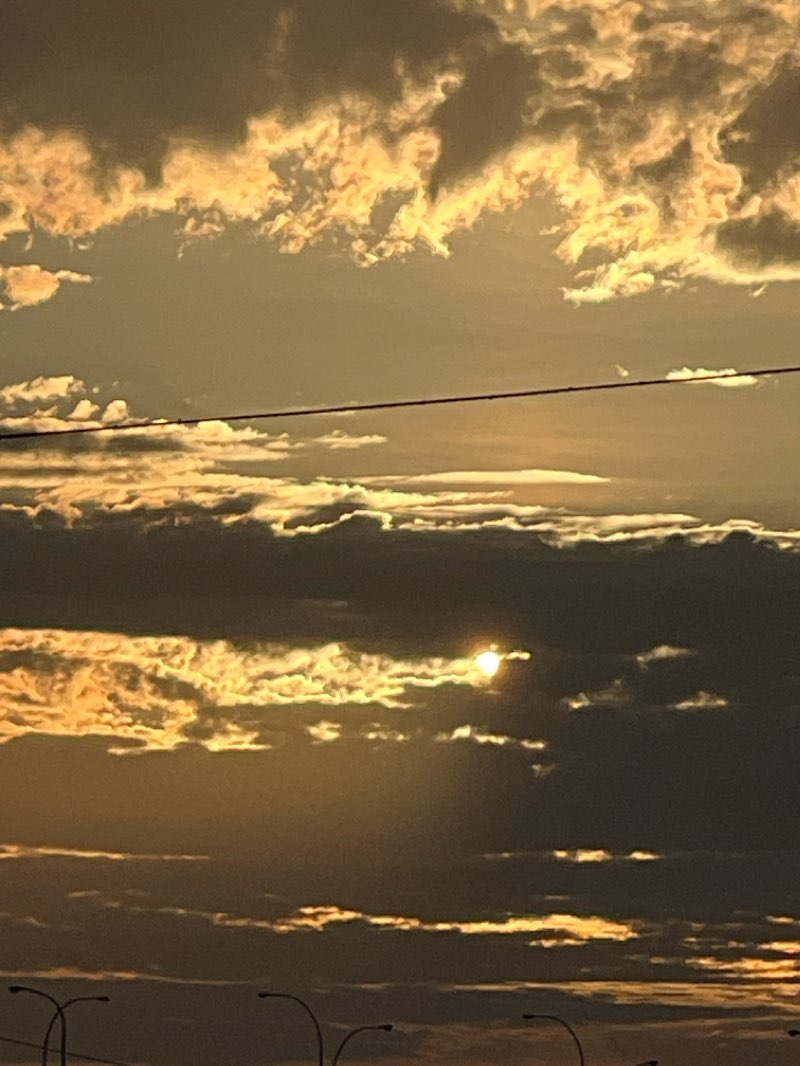 walking near me in Chris Gibson Community Park in winter