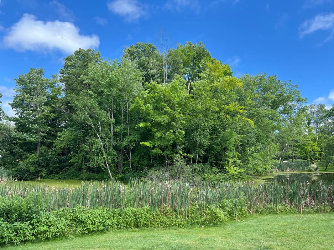 walking near me in Albion-Bolton Fairgrounds in winter