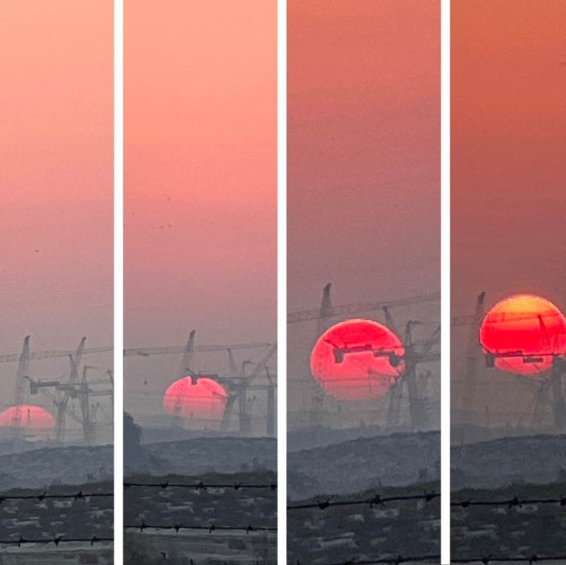 Morning Walk (Delhi/NCR) BillaVj🐈🇮🇳 post image