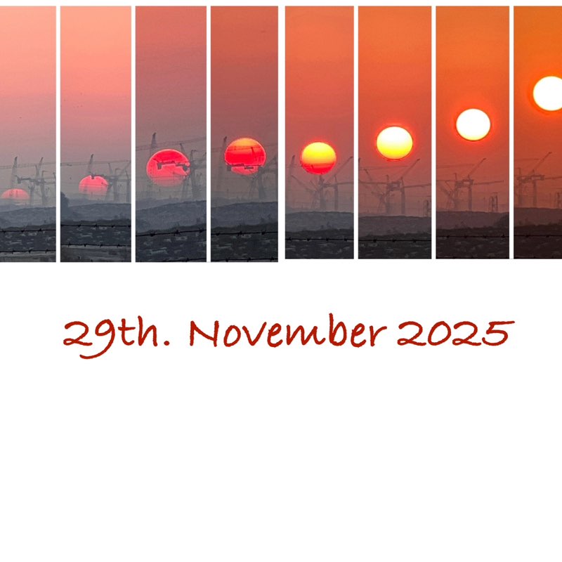 Morning Walk (Delhi/NCR) BillaVj🐈🇮🇳 post image