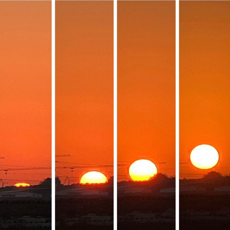 Morning Walk (Delhi/NCR) BillaVj🐈🇮🇳 post image