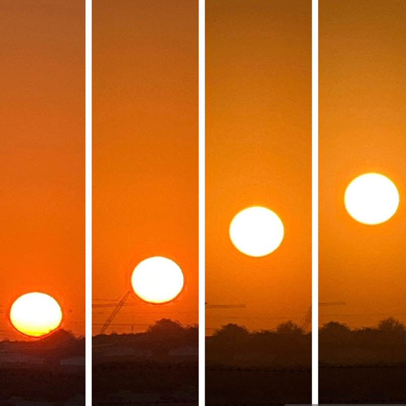 Morning Walk (Delhi/NCR) BillaVj🐈🇮🇳 post image