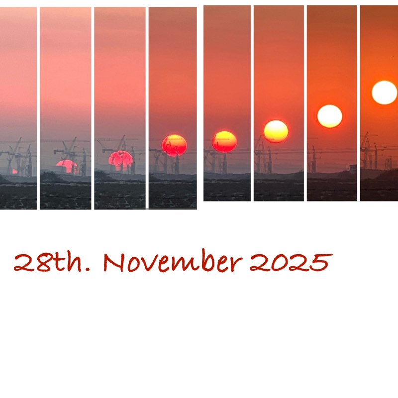 Morning Walk (Delhi/NCR) BillaVj🐈🇮🇳 post image