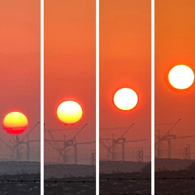 Morning Walk (Delhi/NCR) BillaVj🐈🇮🇳 post image