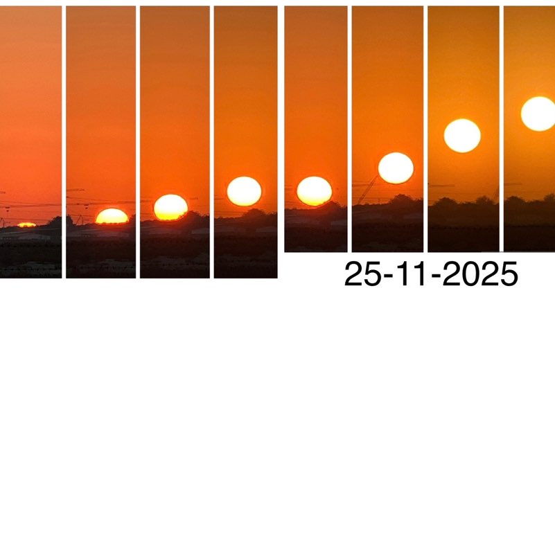 Morning Walk (Delhi/NCR) BillaVj🐈🇮🇳 post image