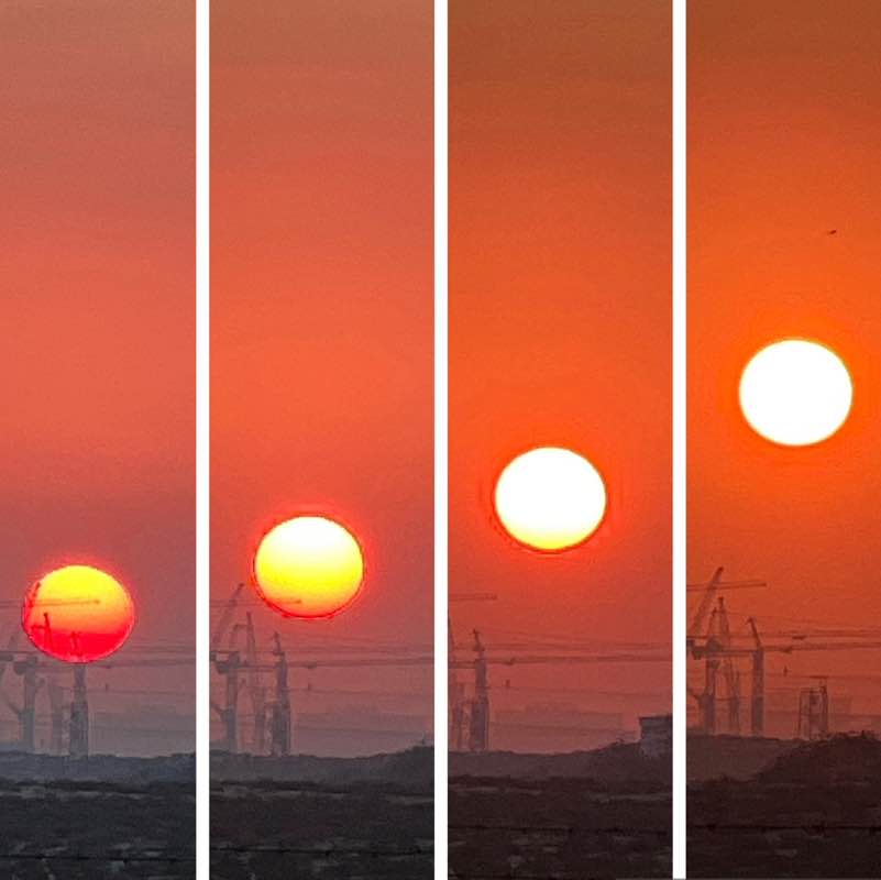 Morning Walk (Delhi/NCR) BillaVj🐈🇮🇳 post image