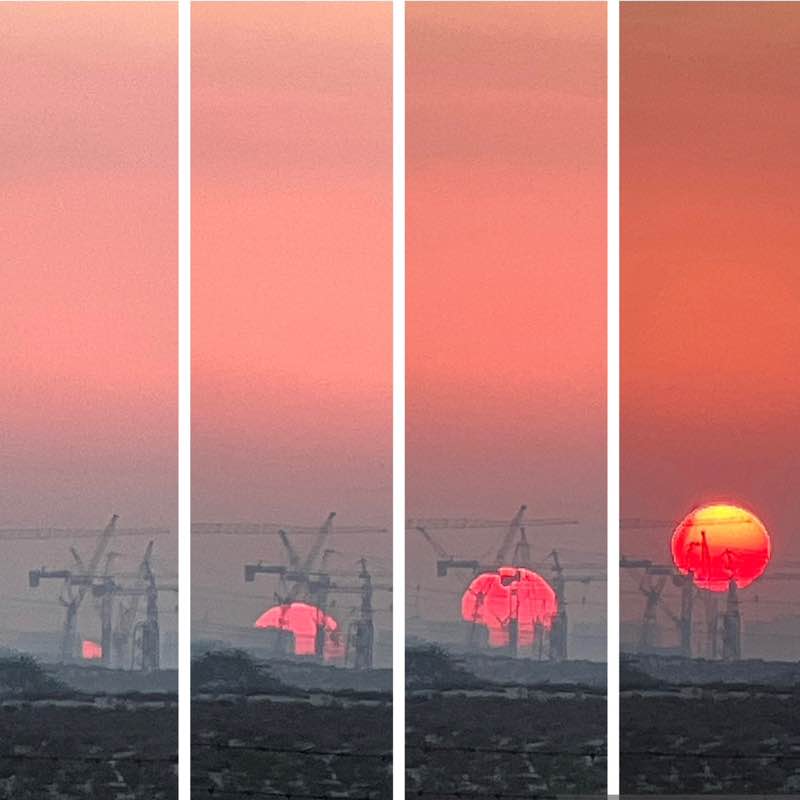 Morning Walk (Delhi/NCR) BillaVj🐈🇮🇳 post image