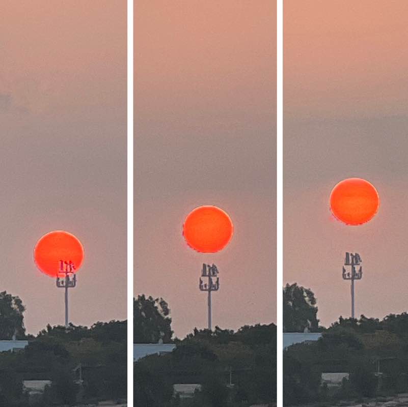 🌺 The Life Catalogue 🌺 BillaVj🐈🇮🇳 post image