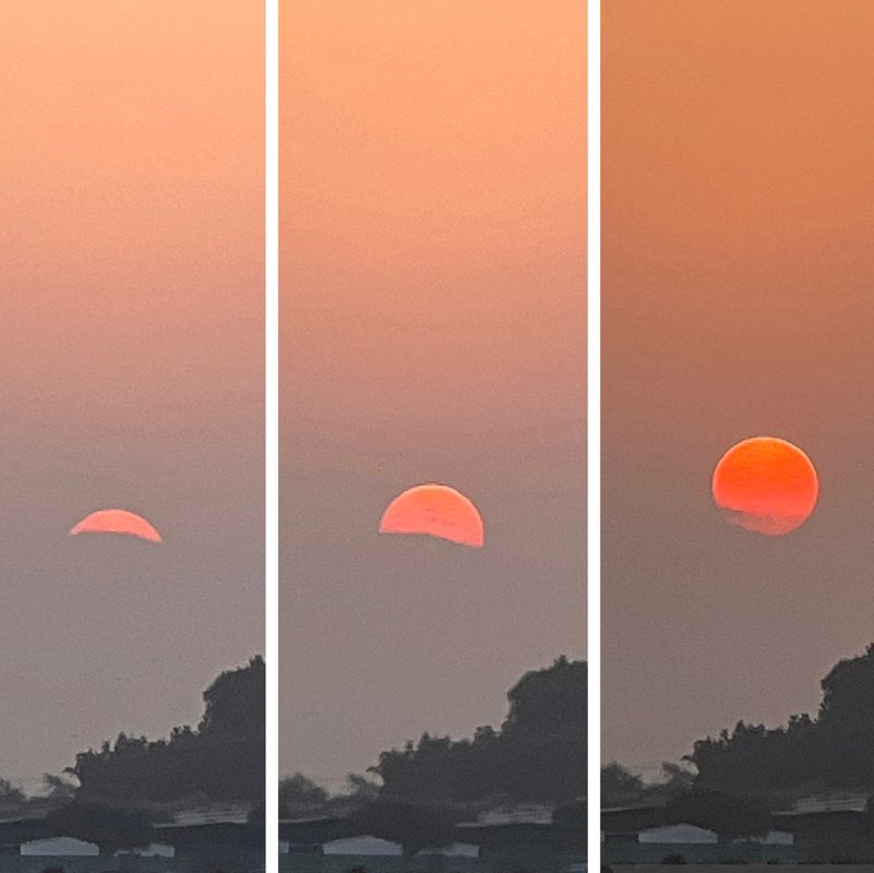 Morning Walk (Delhi/NCR) BillaVj🐈🇮🇳 post image