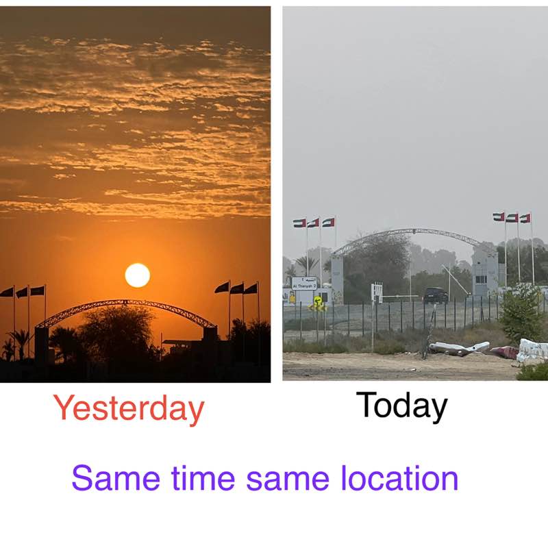 Morning Walk (Delhi/NCR) BillaVj🐈🇮🇳 post image