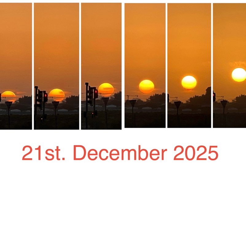 Morning Walk (Delhi/NCR) BillaVj🐈🇮🇳 post image